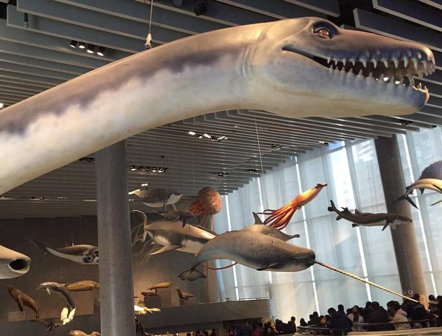  Bảo tàng lịch sử Thượng Hải trưng bày hàng ngàn hiện vật, mô hình có giá trị