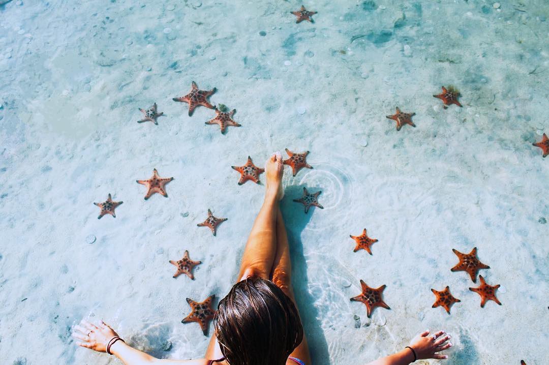 Xõa hết mình với "vương quốc sao biển" tại đảo ngọc Phú Quốc