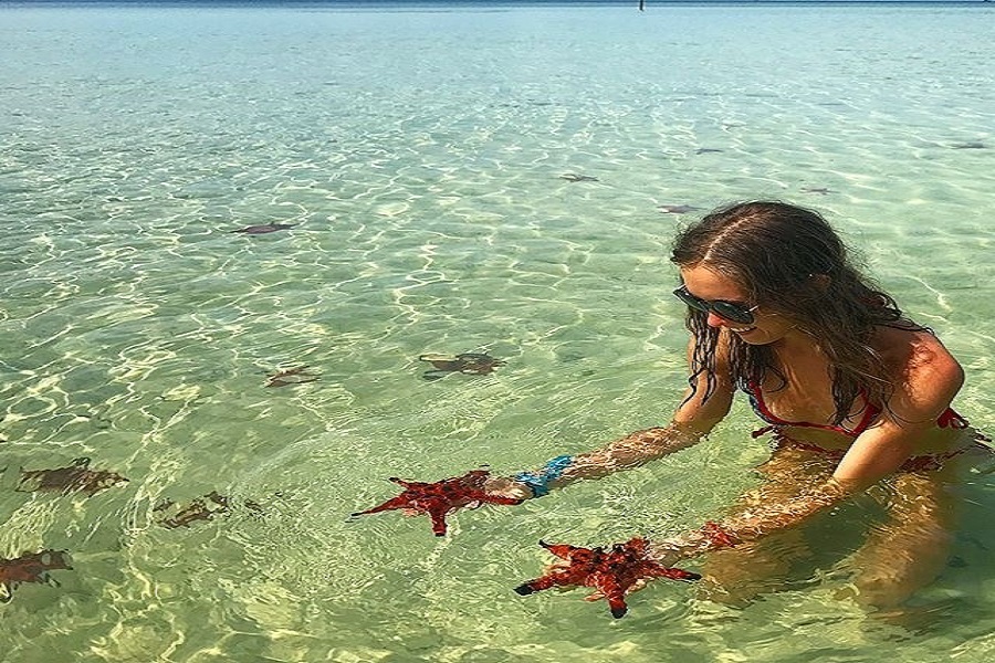 Xõa hết mình với "vương quốc sao biển" tại đảo ngọc Phú Quốc