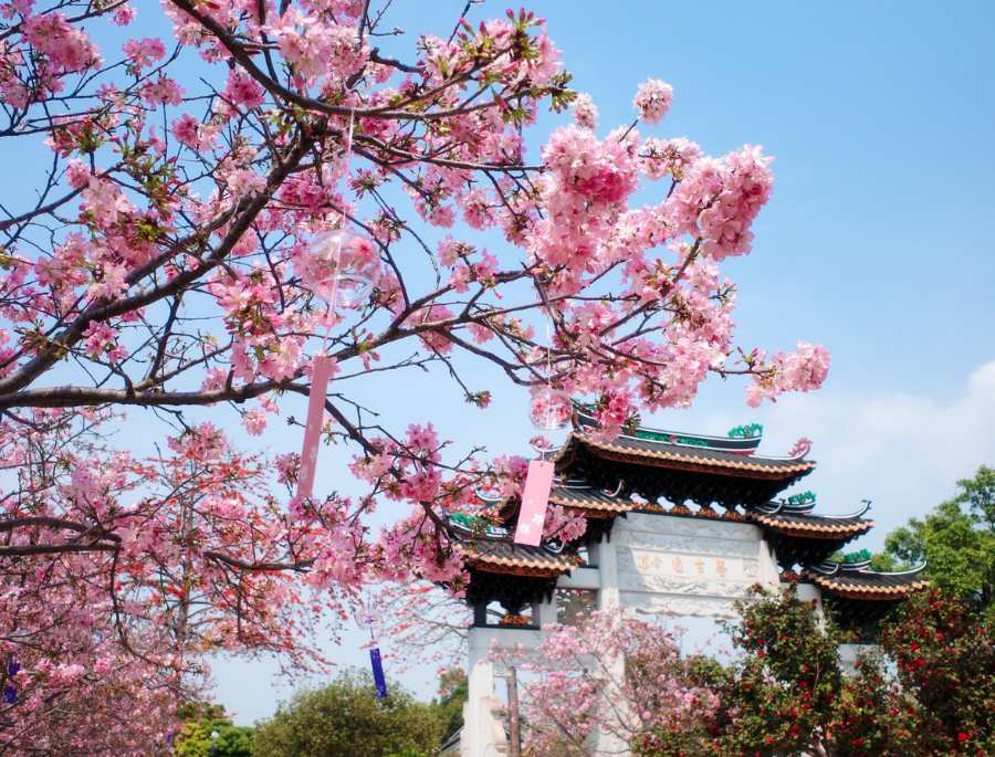 Vũ Hán được mệnh danh là 