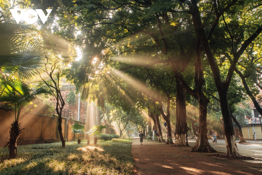 Vẻ đẹp của mùa thu Hà Nội trong những ngày nắng đẹp