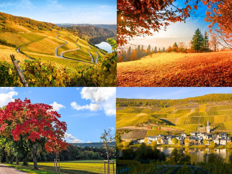 Rennsteig, con đường mòn cổ kính trải dài 170 km, là một lời mời gọi những tâm hồn yêu thiên nhiên