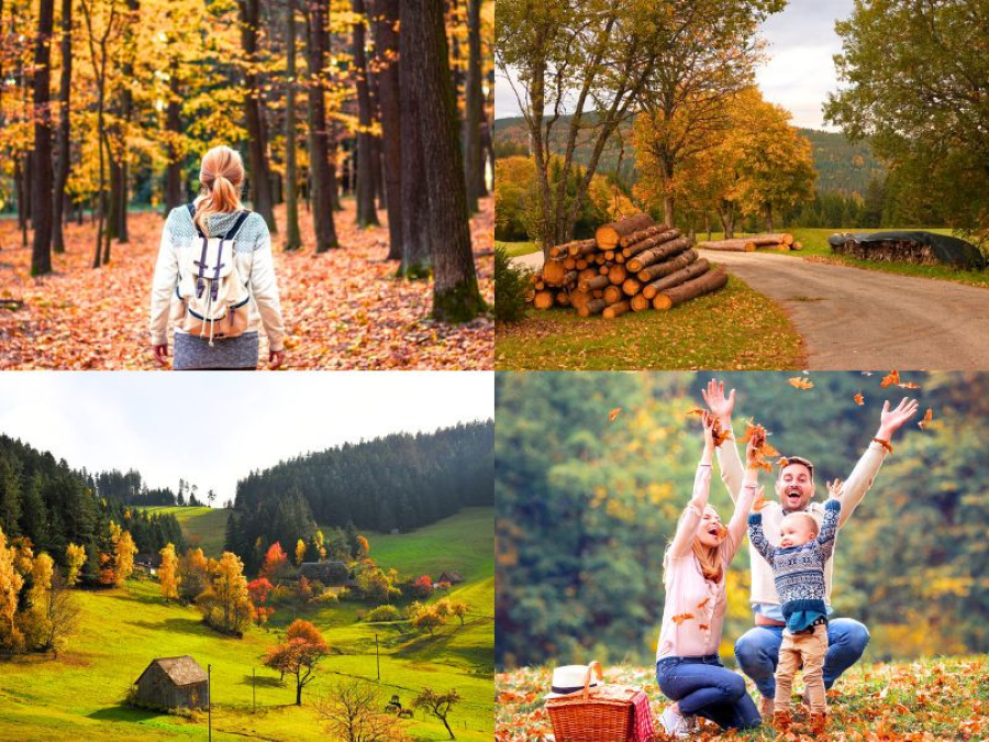 Rừng Đen mùa thu là một bức tranh tuyệt đẹp mà thiên nhiên ban tặng