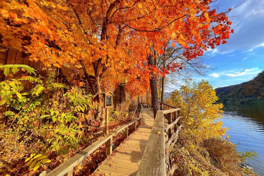 Hình ảnh đảo Nami vô cùng yên bình