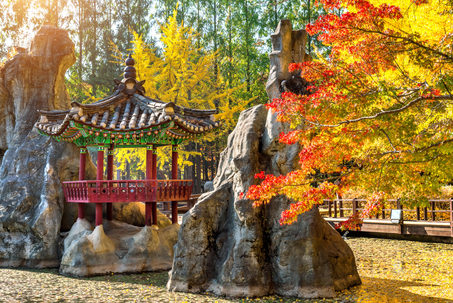 Nami sở hữu nhiều góc sống ảo