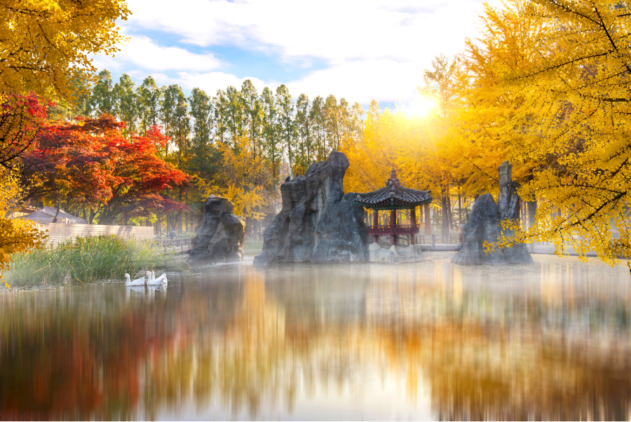 Mỗi khung cảnh ở nami đều mang một vẻ đẹp riêng