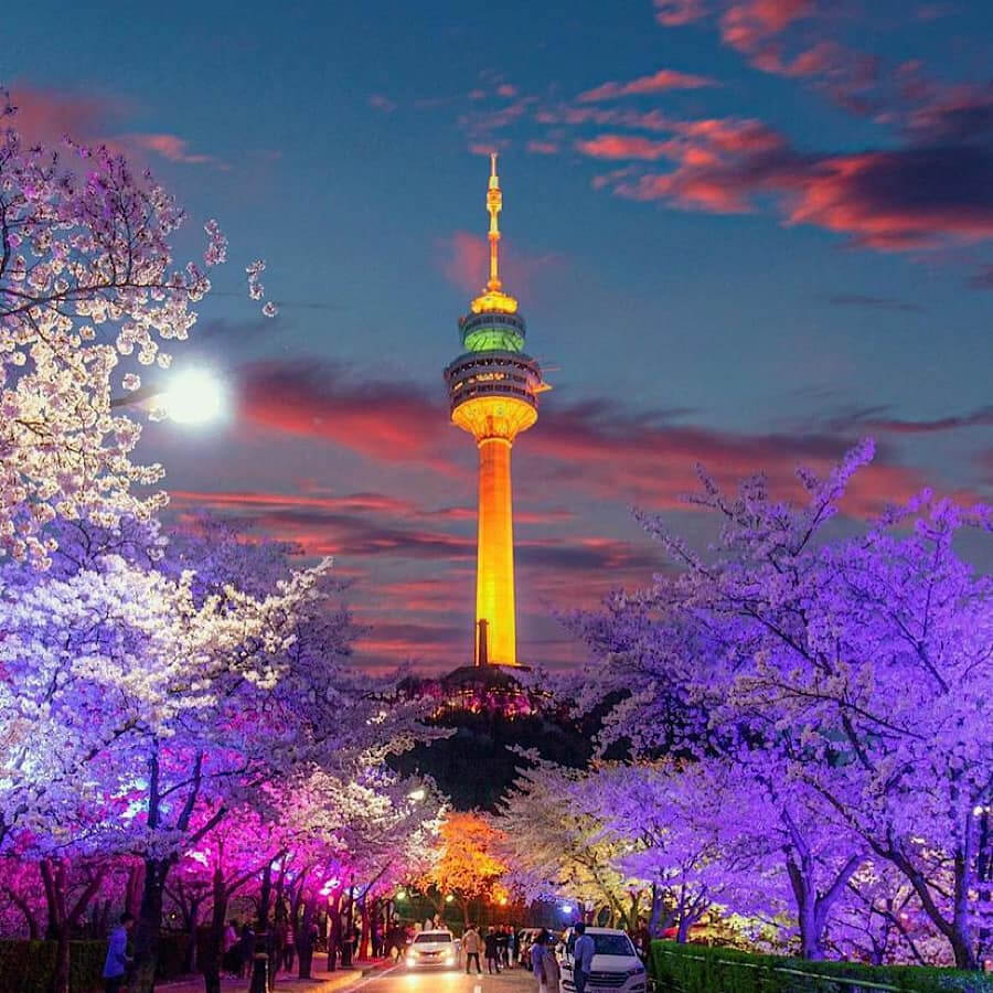 Không chỉ là ngắm hoa, E-World còn mang đến cho các vị khách du lịch Hàn Quốc những trải nghiệm giải trí tuyệt vời