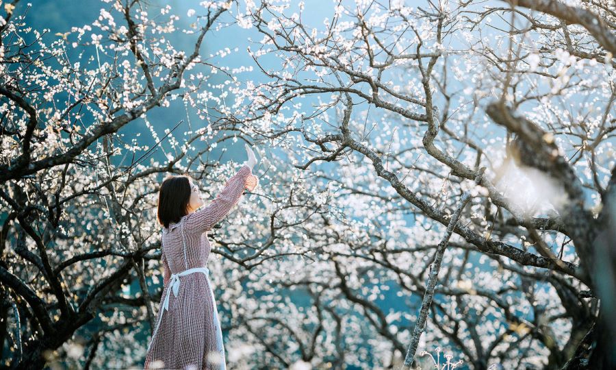 Bí kíp chọn trang phục du lịch Nhật Bản vào mùa xuân