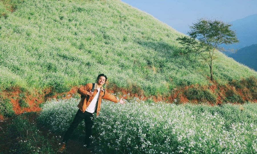 Mùa cải trắng, hồng chín đốn tim khách đến Mộc Châu