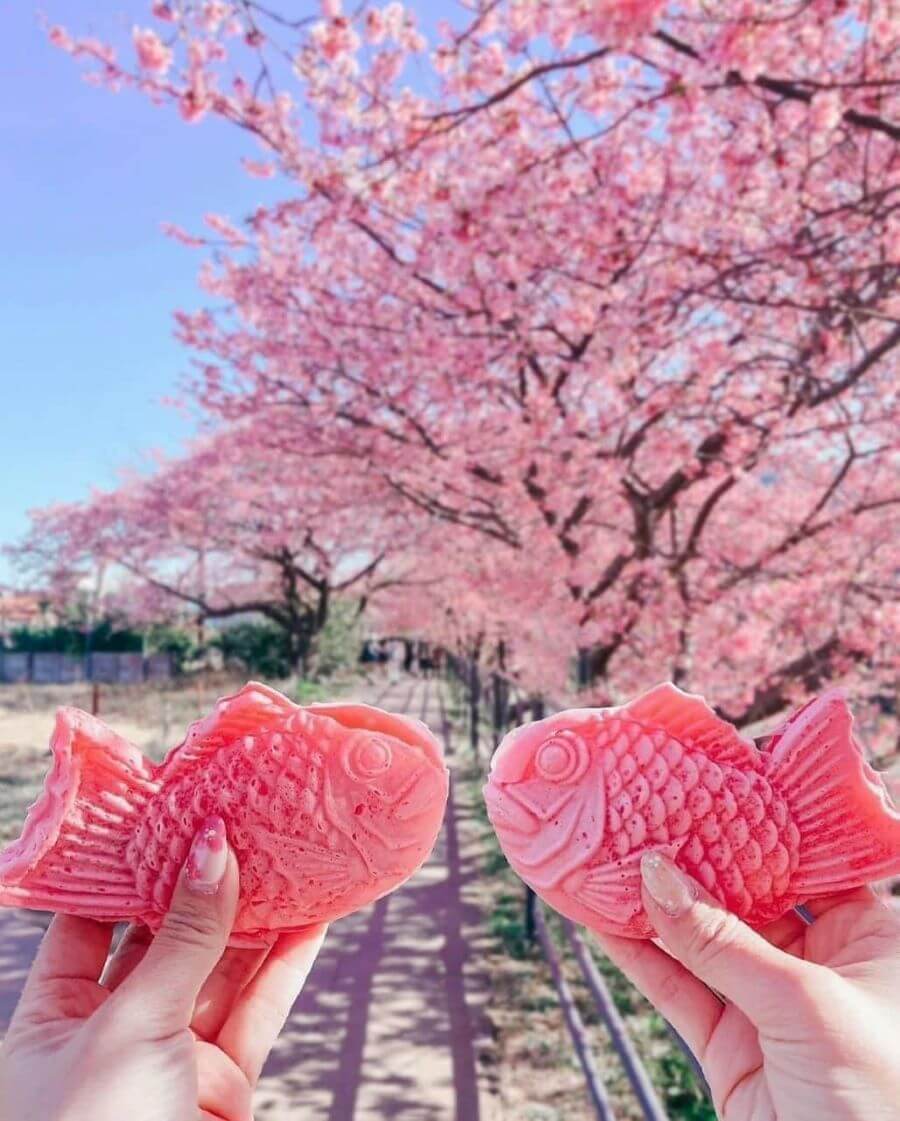 Mùa xuân ở Kawazu không chỉ là mùa của hoa anh đào rực rỡ mà còn là dịp để khám phá một thế giới ẩm thực độc đáo và hấp dẫn