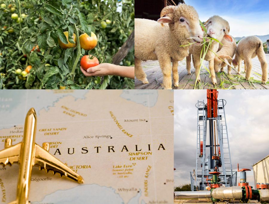 Nước Úc là một trong những quốc gia có tốc độ kinh tế phát triển vượt bậc với rất nhiều các ngành nghề từ truyền thống đến hiện đại