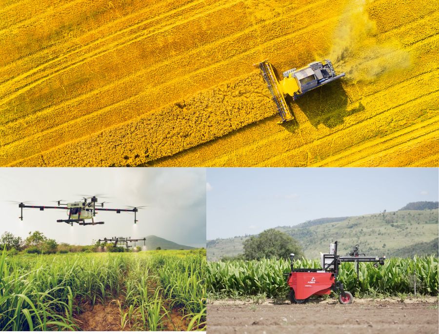 Ngành nông nghiệp của Úc được hoạt động dựa trên 1 quy trình nghiêm ngặt