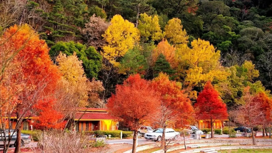 Mùa thu ở thị trấn Heping hứa hẹn sẽ là một trải nghiệm khó quên với bất kỳ du khách nào khi đến Đài Loan