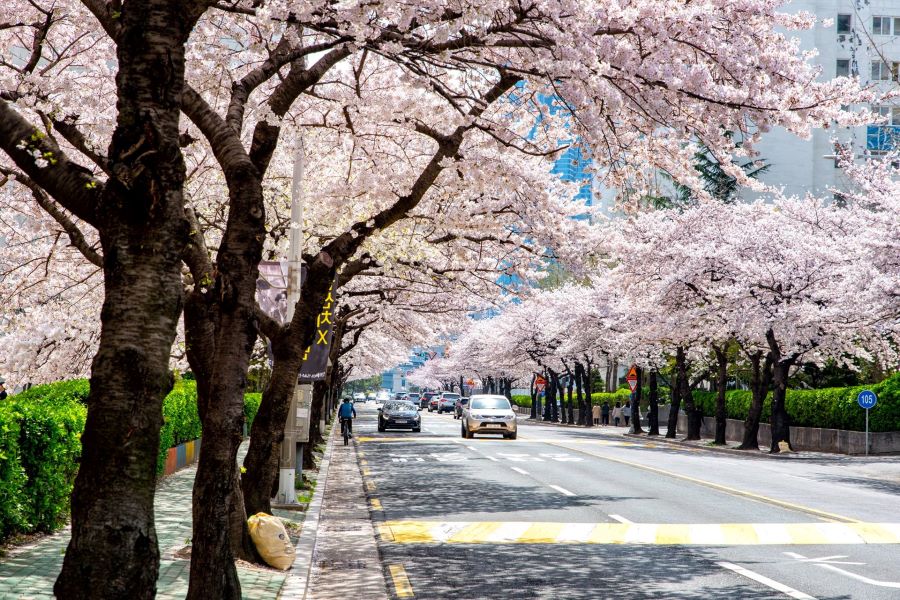 Chung cư Samik - điểm dừng chân không thể bỏ qua của các tín đồ đam mê sống ảo check-in 