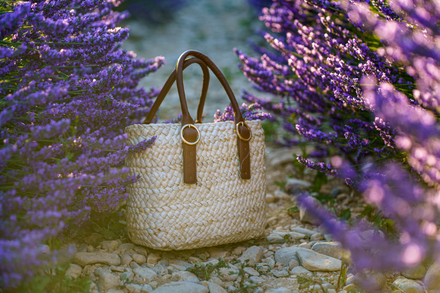 Những mùa hoa Lavender tại Pháp khiến nhiều du khách thích thú và không thể rời mắt