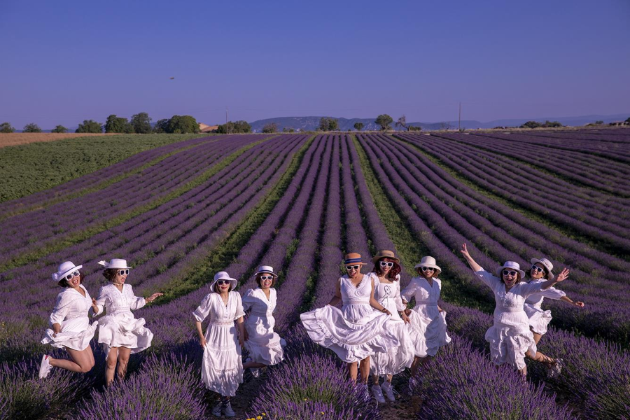 Nhiều lễ hội hoa Lavender được tổ chức khắp nơi trên đất nước Pháp, mang đến cho du khách những trải nghiệm khó quên