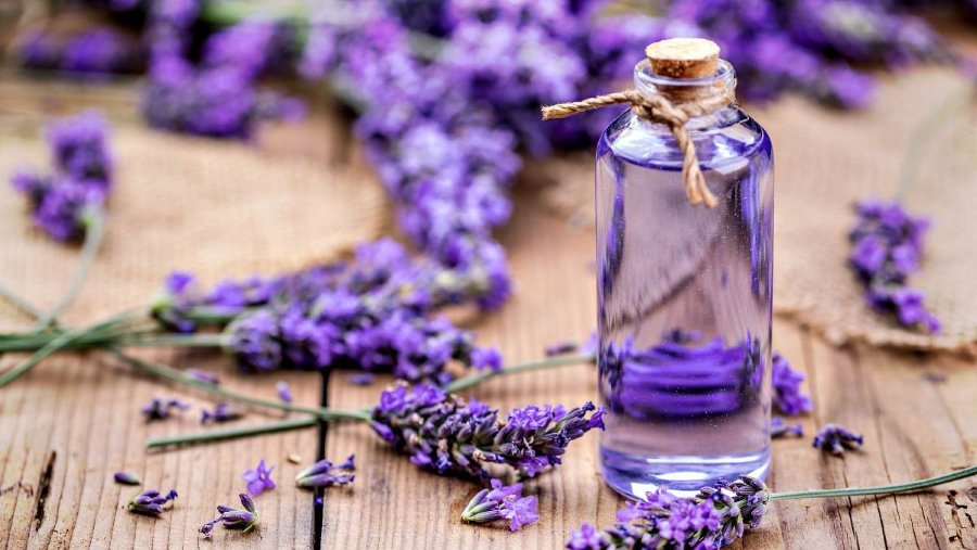 Tinh dầu Lavender - Một trong các sản phẩm được làm ra từ loài hoa xinh đẹp này
