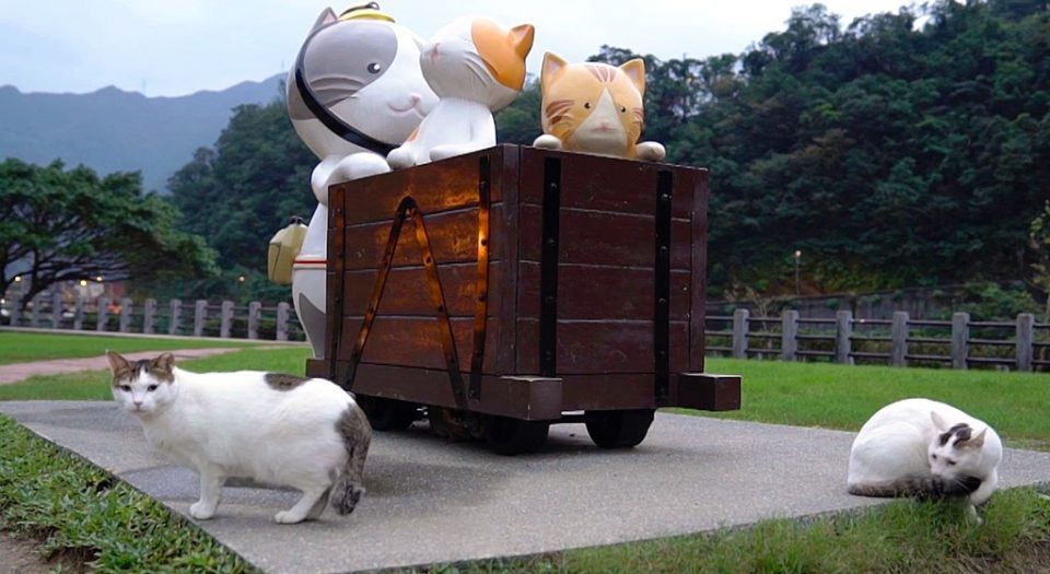 Ngôi làng Houtong đầy thú vị cho các tín đồ yêu mèo ở Đài Loan