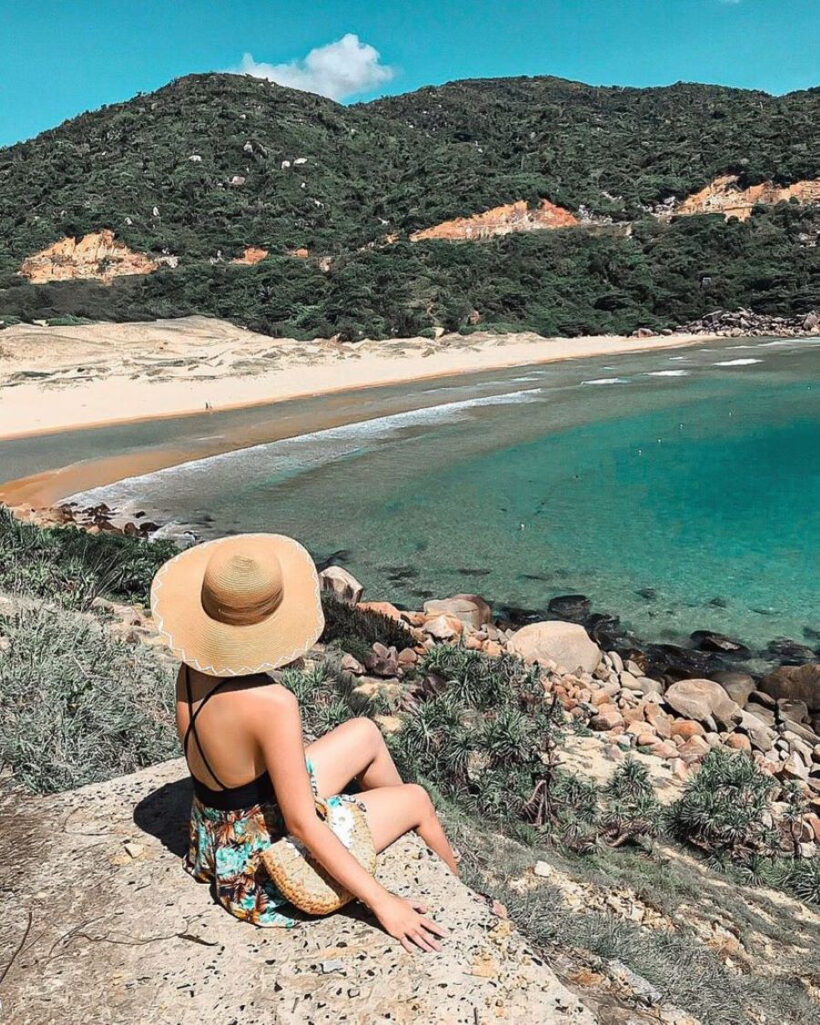 Ngắm vẻ đẹp hoang sơ, đầy mê hoặc của Bãi Môn Phú Yên ở xứ hoa vàng cỏ xanh