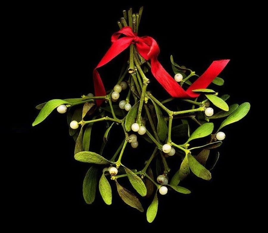 Trải nghiệm phong tục đón năm mới của người Anh cực kỳ độc đáo