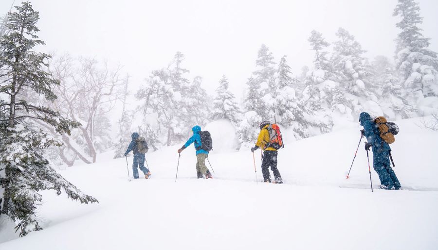 Trượt tuyết - Một trong những hoạt động thú vị tại Nhật vào mùa đông