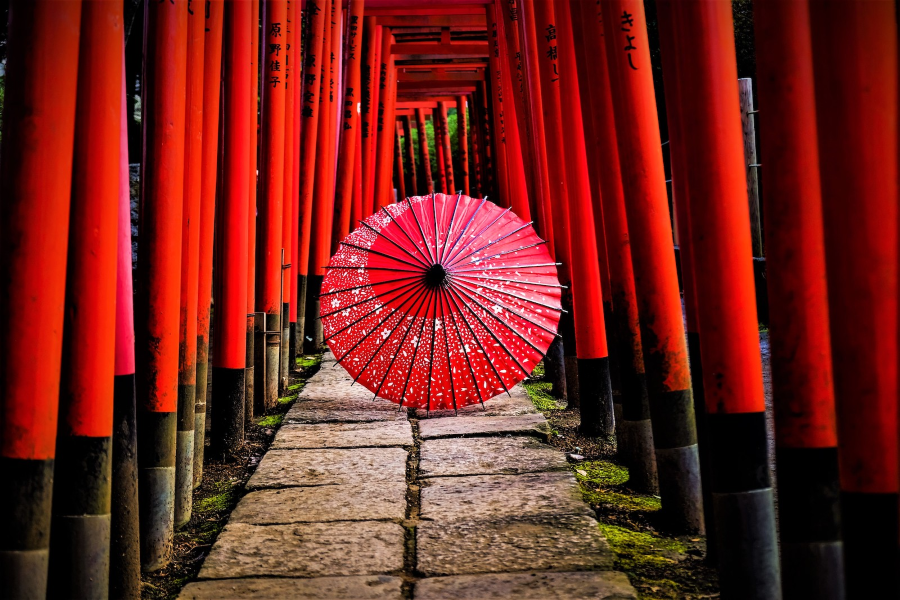 Đường mòn dẫn lên núi Inari được bao phủ bởi hàng nghìn cổng torii đỏ cam rực rỡ