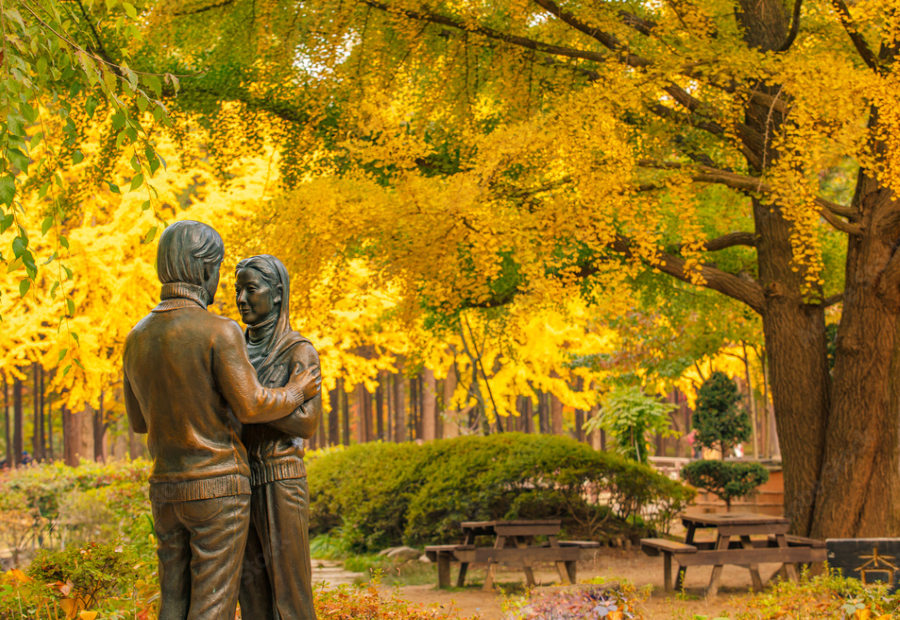 Đảo Nami cũng là một trong những địa điểm check-in ở Hàn Quốc mùa thu 