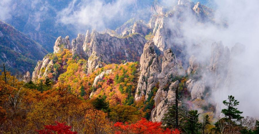 Núi Seoraksan là một trong những địa điểm check in ở Hàn Quốc mùa thu được nhiều du khách tìm đến
