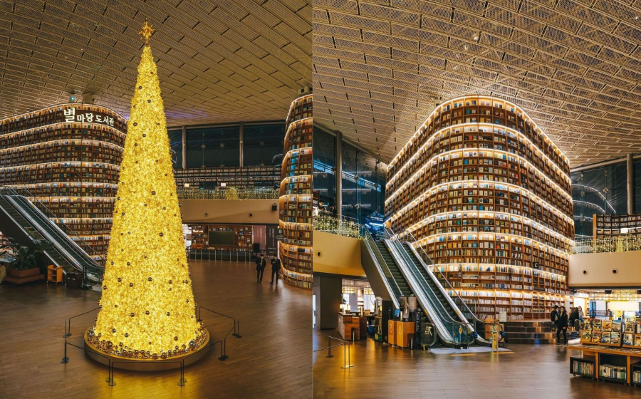 Thư viện COEX Starfield mỗi dịp Giáng sinh lại được khoác lên một tấm áo mới lung linh
