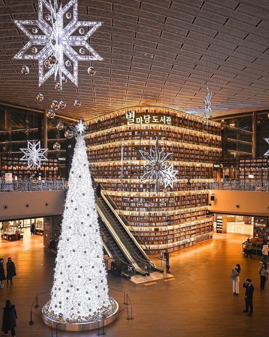 Cây thông Noel khổng lồ được đặt ngay giữa thư viện mang đến một không gian thư giãn và lãng mạn