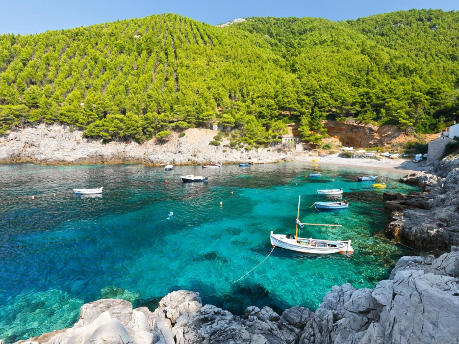 Mljet như một bức tranh tuyệt đẹp với những gam màu xanh tươi mát của cây cối, của biển cả