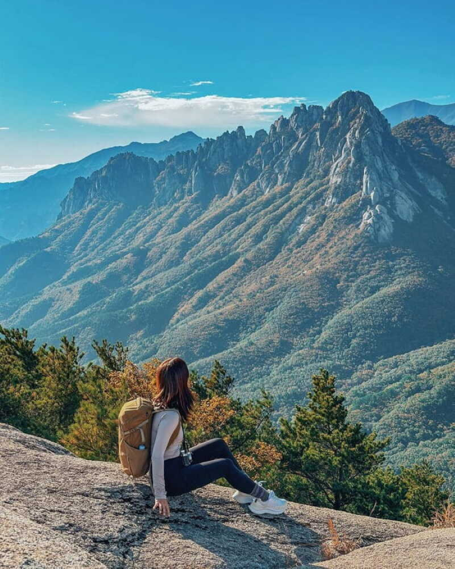 Ulleungdo không chỉ thu hút du khách bởi vẻ đẹp hoang sơ, hùng vĩ mà còn bởi cung đường thơ mộng