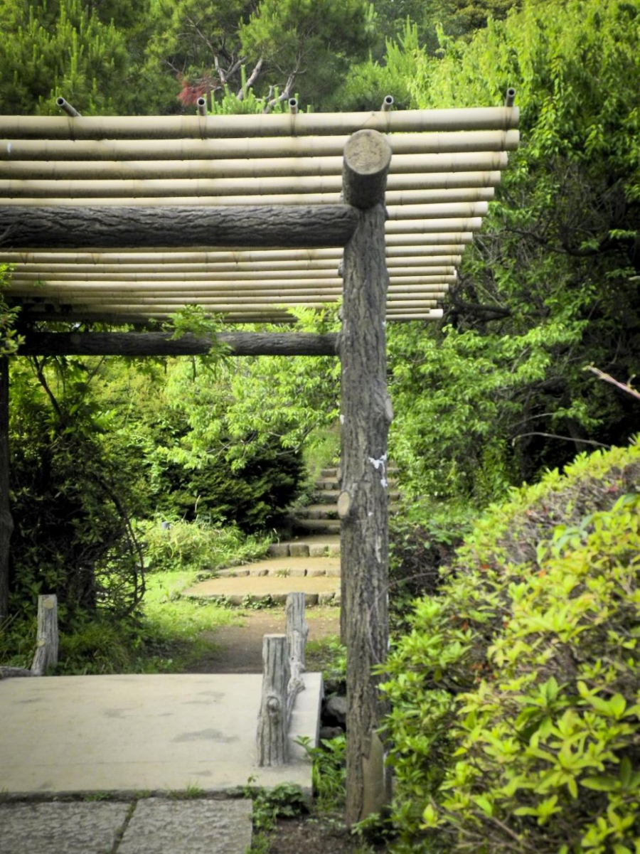 Ẩn mình giữa nhịp sống sôi động của Tokyo, Vườn Koishikawa như một ốc đảo xanh mát