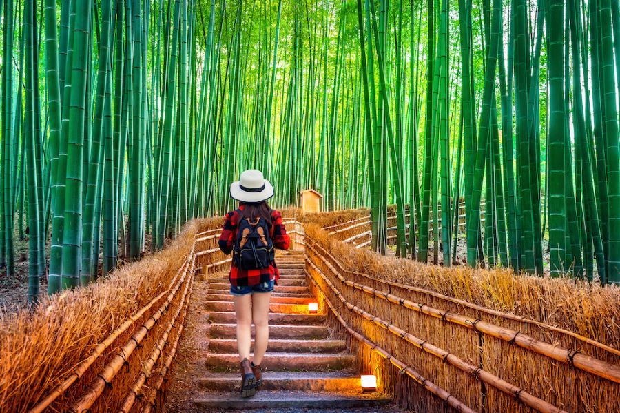 Rừng trúc Arashiyama là cái tên không thể bỏ qua trong danh sách những địa điểm du lịch ở Kyoto Nhật Bản