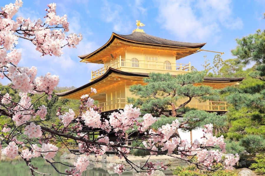 Chùa Kinkaku-ji chiêu đãi du khách thập phương một khung cảnh đẹp như mơ