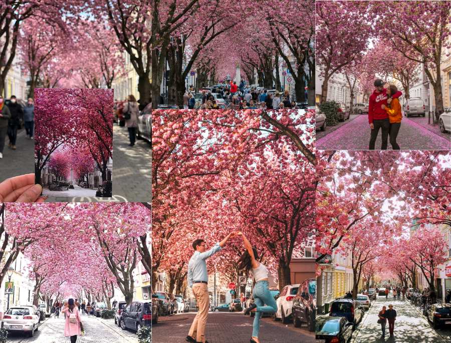 Các góc check in xinh xắn tại Bonn