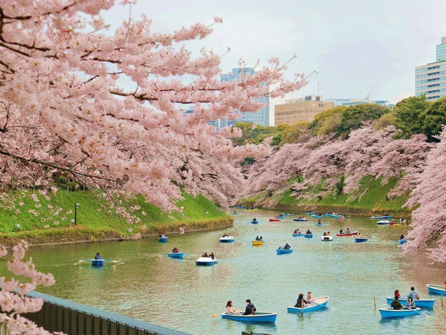 Sông Meguro là nơi lý tưởng để chiêm ngưỡng phong cảnh tuyệt đẹp của hoa anh đào ở Tokyo
