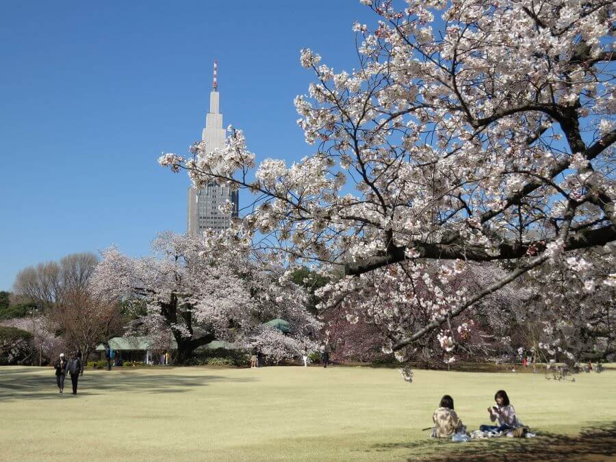 Công viên Shinjuku Gyoen là một trong những khu vườn quốc gia nổi tiếng nhất tại Tokyo