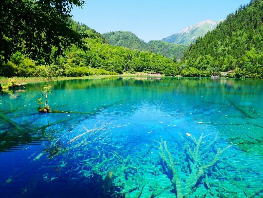Khám phá vẻ đẹp của thung lũng Jiuzhaigou nổi tiếng tại Tứ Xuyên Trung Quốc