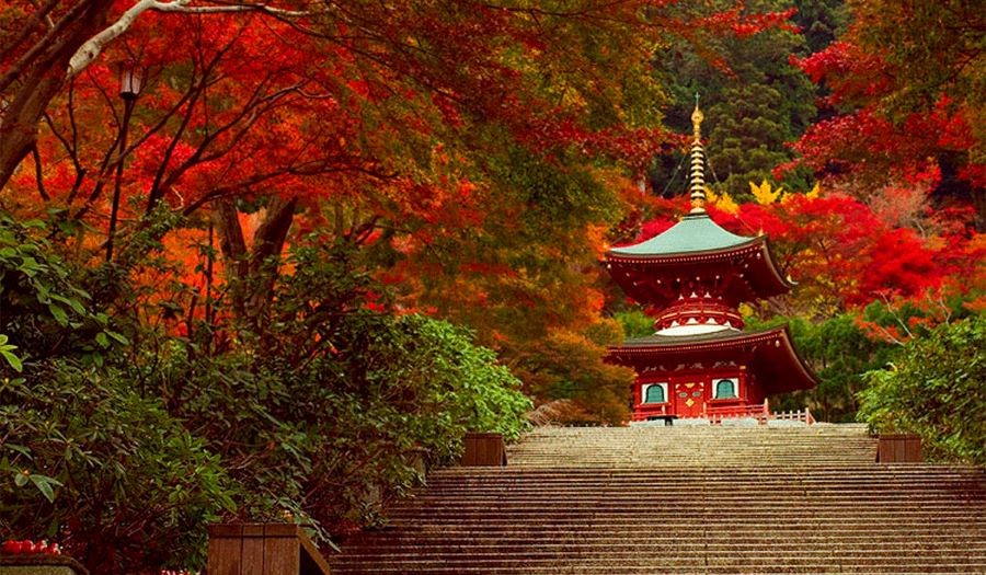 Sắc đỏ ngập tràn vào mùa thu tại Osaka