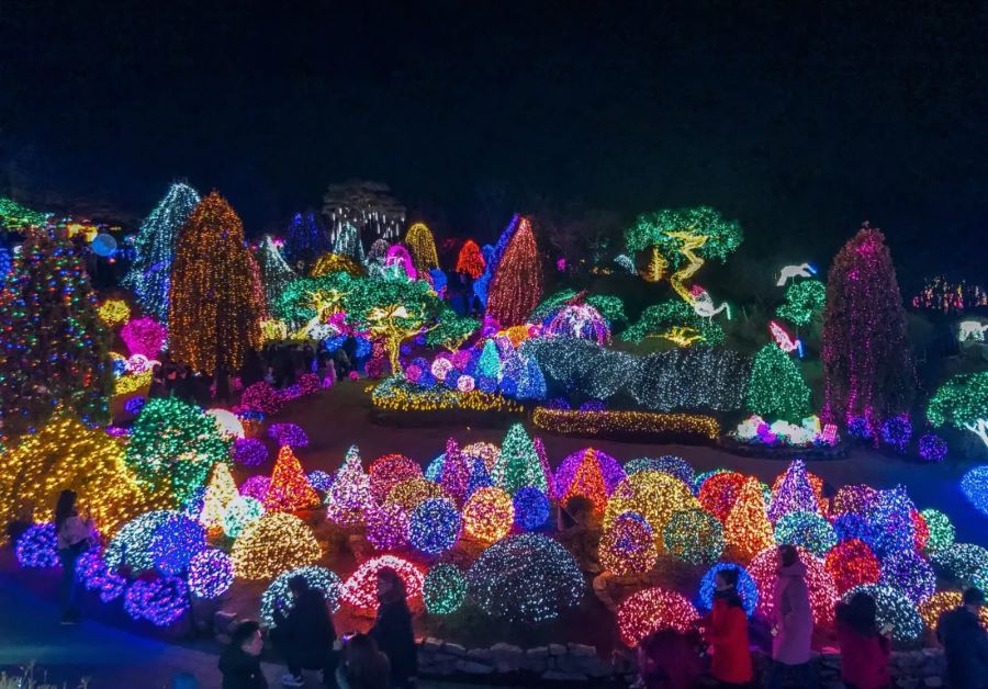 The Garden of Morning Calm sở hữu Lễ hội Ánh sáng nổi tiếng