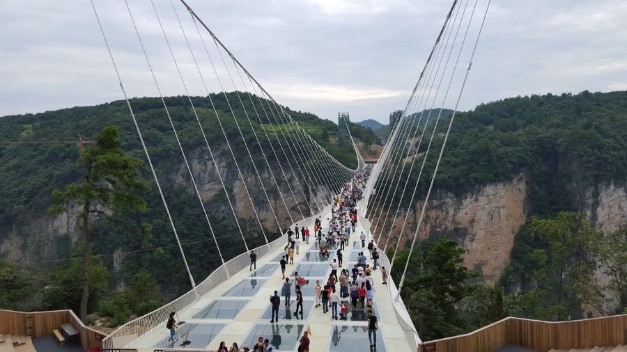 Chinh phục độ cao tại cầu kính Trương Gia Giới