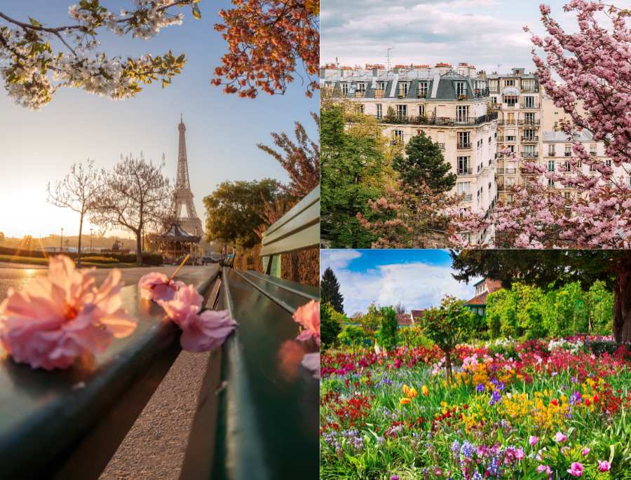 Mùa xuân nước Pháp sở hữu tiết trời mát mẻ, trăm hoa đua nở