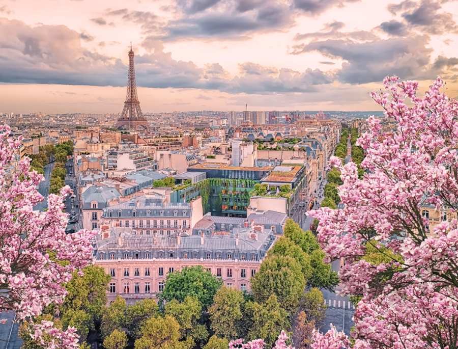 Toàn cảnh nước Pháp ngập tràn sắc hồng vào mùa xuân