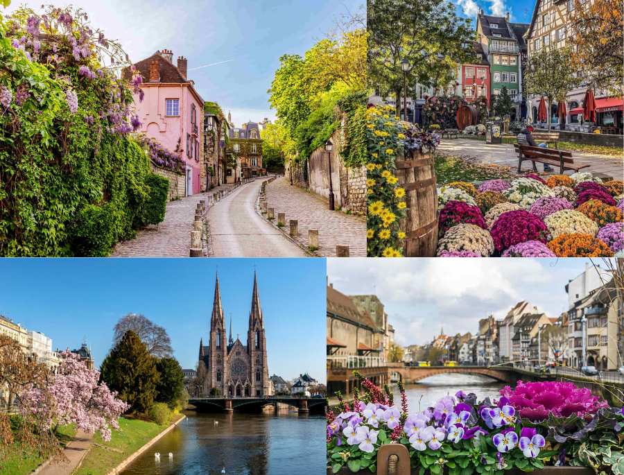 Khun cảnh rực rỡ, ngập tràn sắc hoa tại nước Pháp mỗi khi mùa xuân gõ cửa