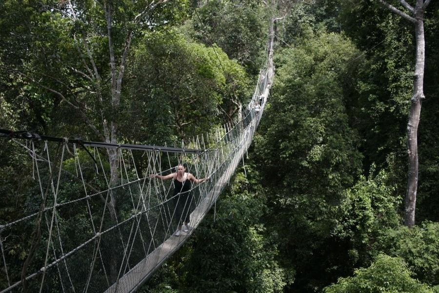 Taman Negara là khu vực bảo tồn thiên nhiên lớn nhất và cổ nhất ở Malaysia