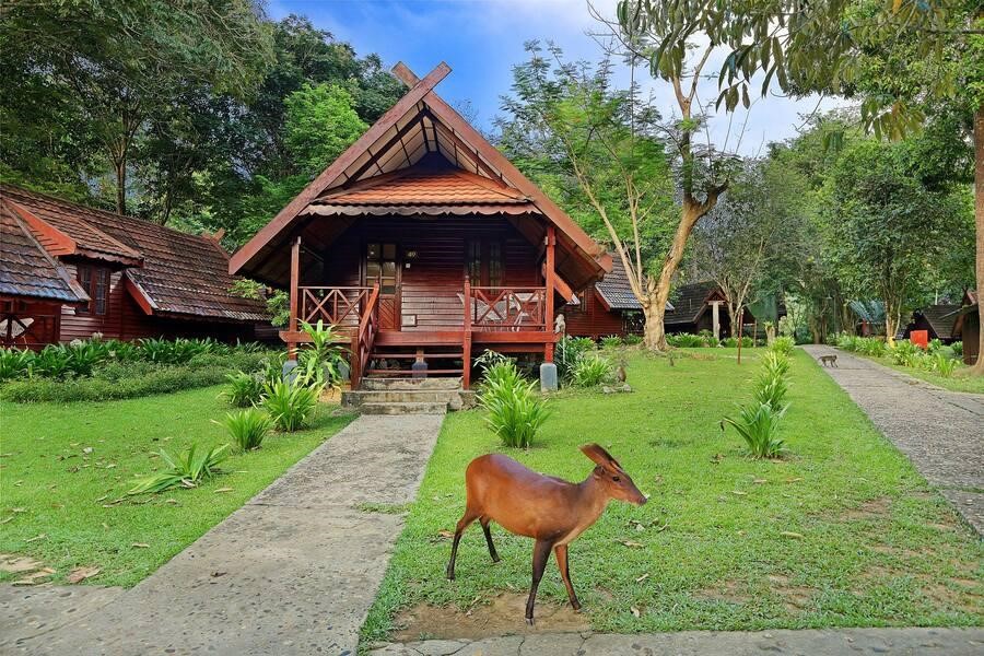 Taman Negara là khu vực bảo tồn thiên nhiên lớn nhất và cổ nhất ở Malaysia