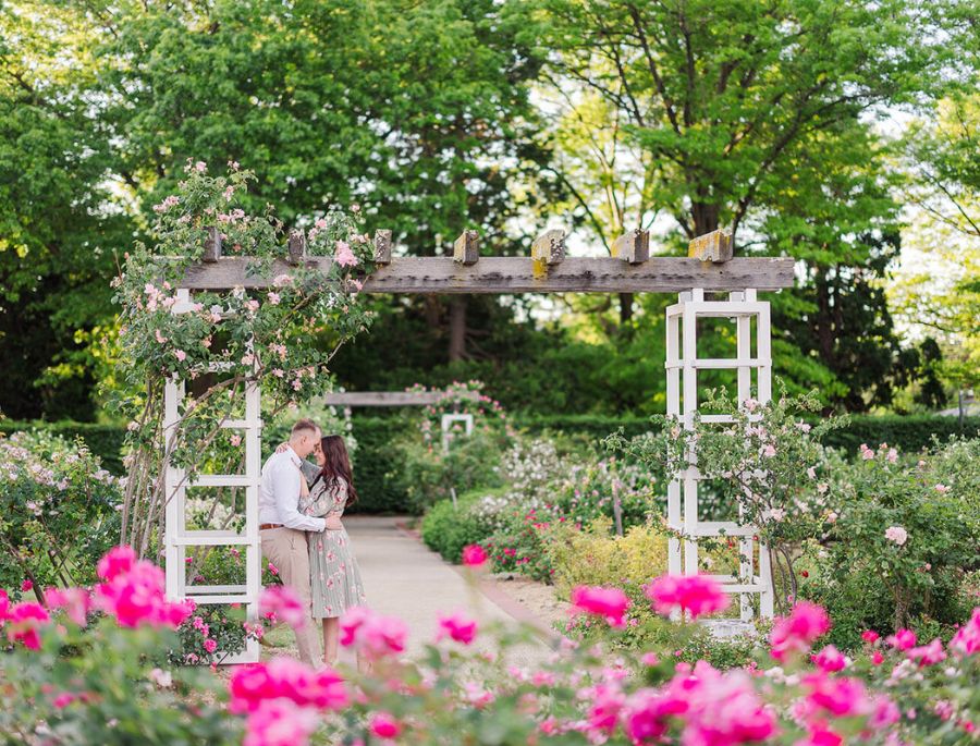 Khung cảnh lãng mạn mà bất kỳ ai cũng muốn được 1 lần chiêm ngưỡng