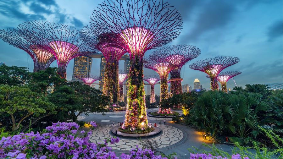 Gardens by the Bay - Một trong những khu vườn thực vật nhân tạo độc đáo tại Singapore
