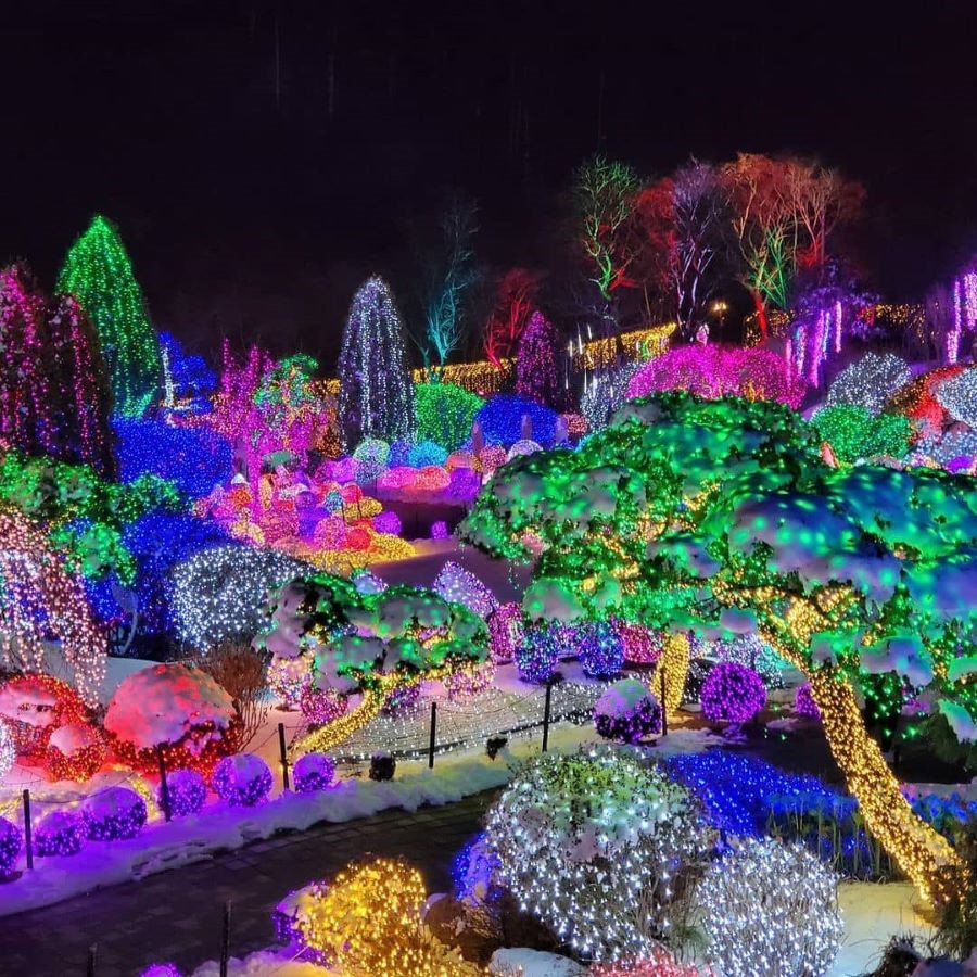 Khám phá Lễ hội ánh sáng Garden Of Morning Calm siêu xinh tại Hàn